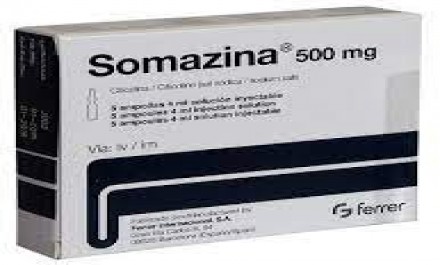 Somazina 500 MG / 4 ML