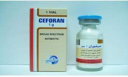 Ceforan 1000mg