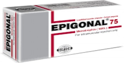 Epigonal 