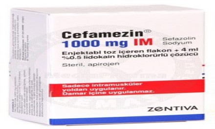 Cefamezin 1000mg