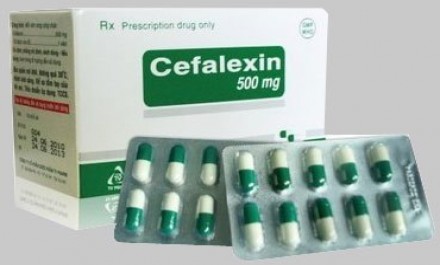 Cephalexin October 500mg